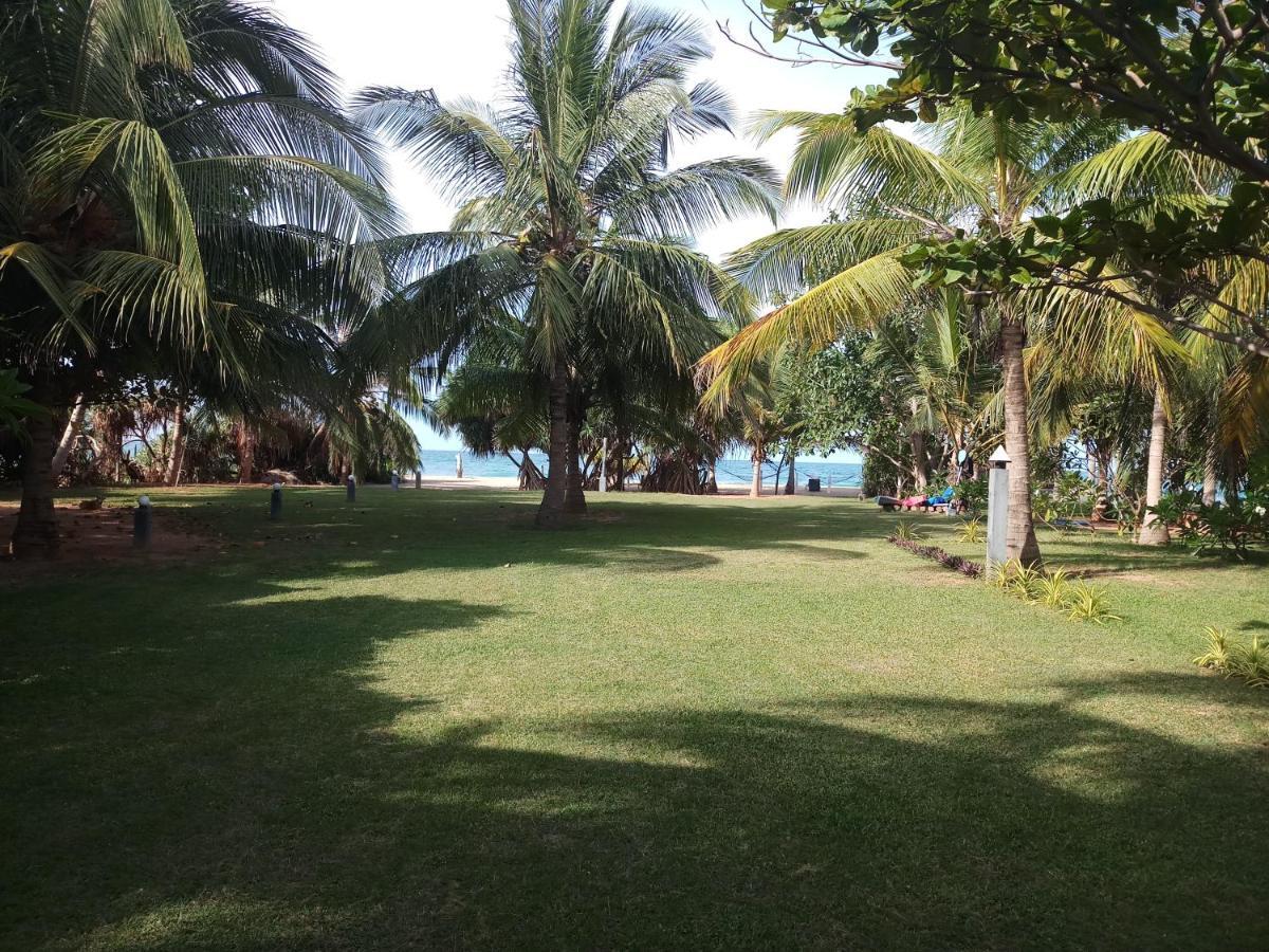 Villa Nilaveli Cabana Exteriér fotografie