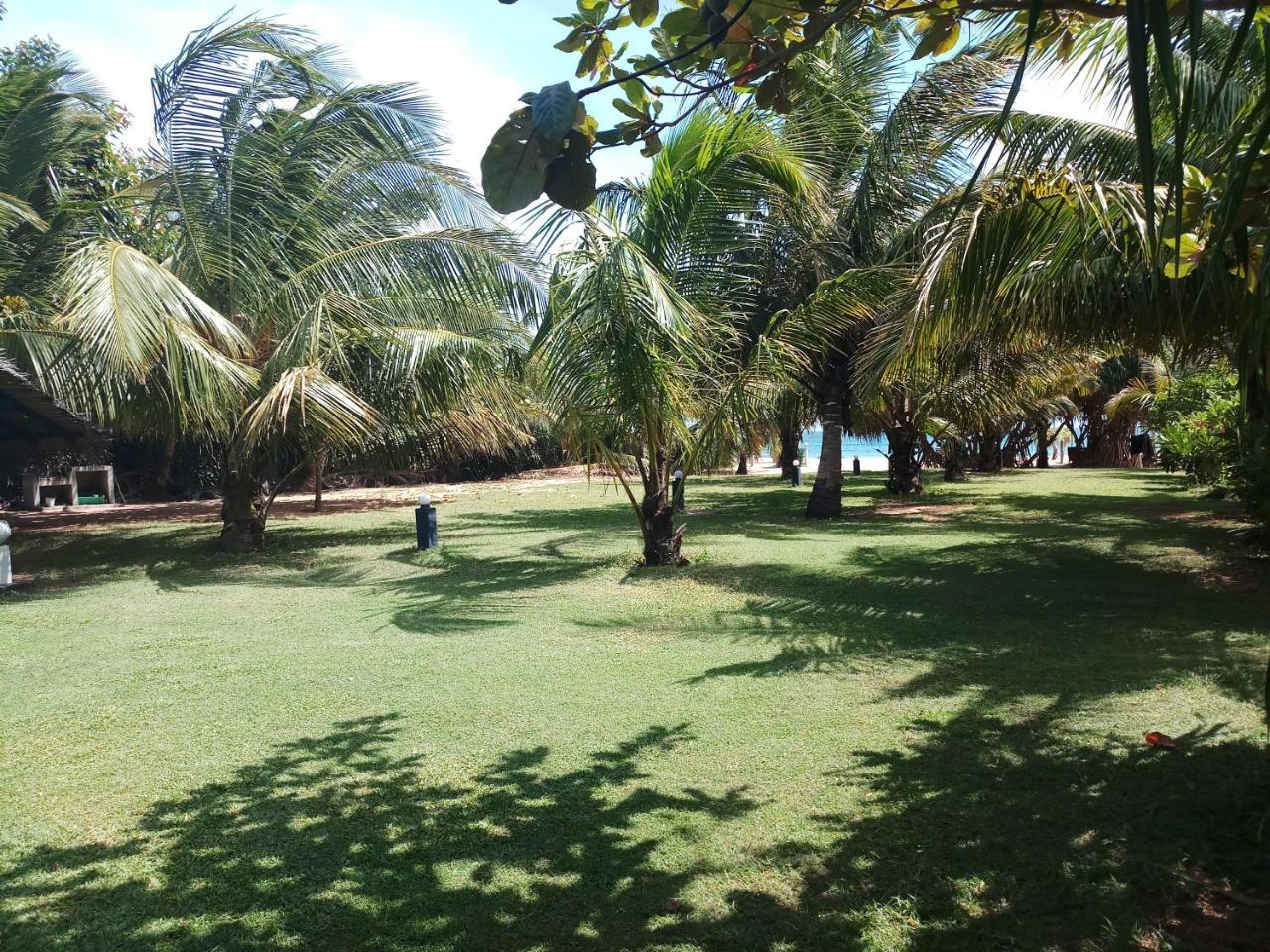Villa Nilaveli Cabana Exteriér fotografie